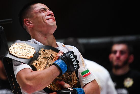 Mixed martial arts. Aleksander Emelianenko vs. Tony Johnson