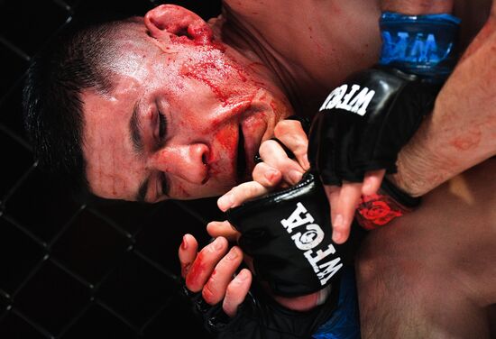 Mixed martial arts. Aleksander Emelianenko vs. Tony Johnson