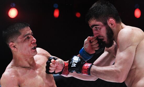 Mixed martial arts. Aleksander Emelianenko vs. Tony Johnson