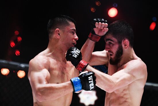 Mixed martial arts. Aleksander Emelianenko vs. Tony Johnson