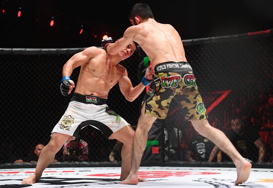 Mixed martial arts. Aleksander Emelianenko vs. Tony Johnson