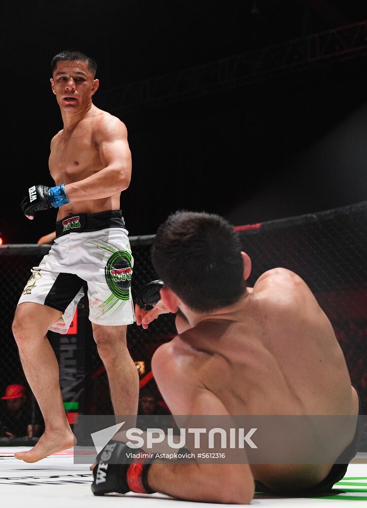 Mixed martial arts. Aleksander Emelianenko vs. Tony Johnson