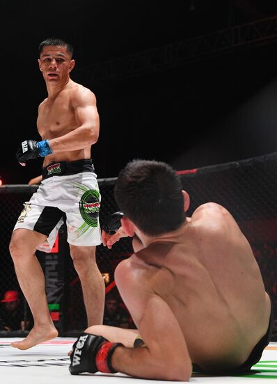 Mixed martial arts. Aleksander Emelianenko vs. Tony Johnson