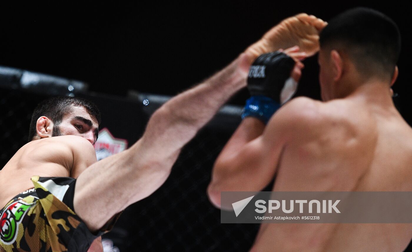 Mixed martial arts. Aleksander Emelianenko vs. Tony Johnson