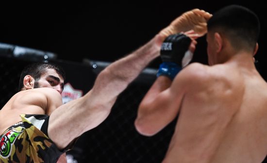Mixed martial arts. Aleksander Emelianenko vs. Tony Johnson