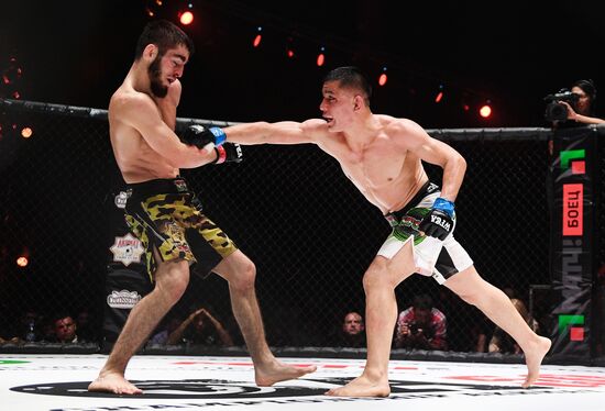 Mixed martial arts. Aleksander Emelianenko vs. Tony Johnson