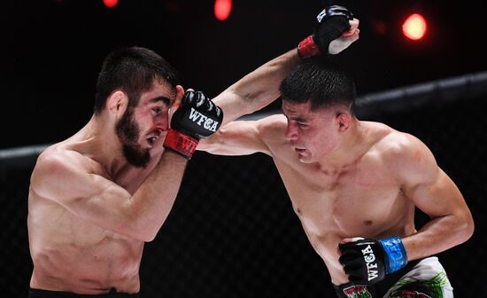 Mixed martial arts. Aleksander Emelianenko vs. Tony Johnson