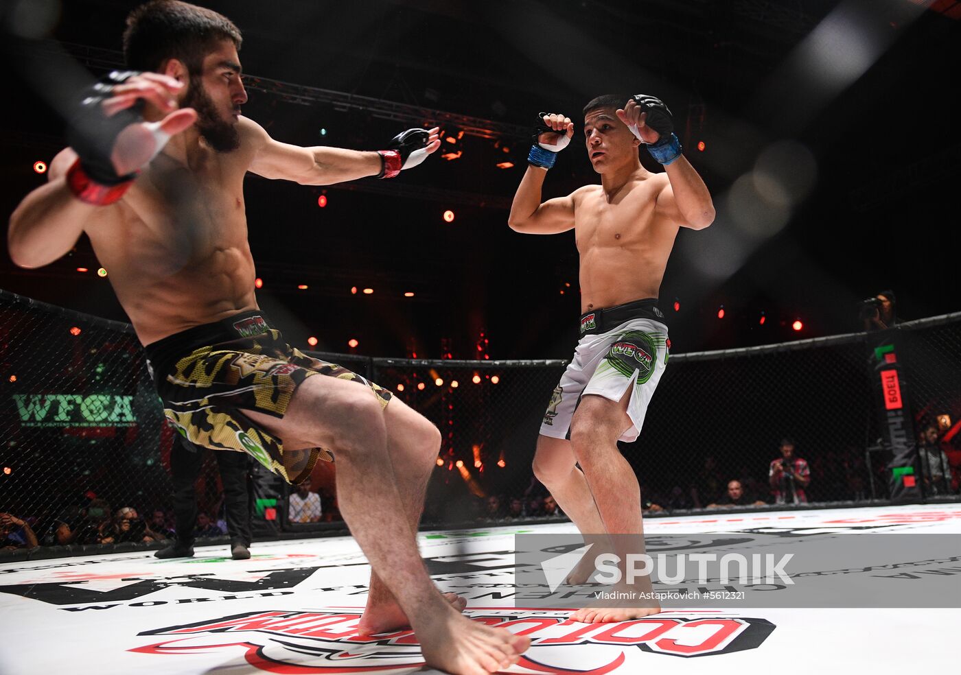 Mixed martial arts. Aleksander Emelianenko vs. Tony Johnson