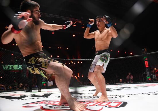 Mixed martial arts. Aleksander Emelianenko vs. Tony Johnson