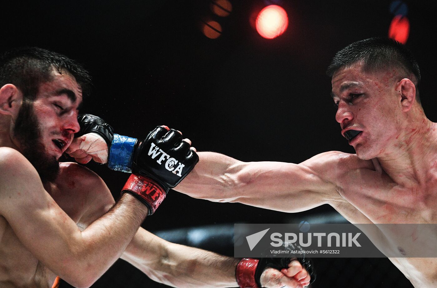 Mixed martial arts. Aleksander Emelianenko vs. Tony Johnson