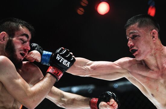 Mixed martial arts. Aleksander Emelianenko vs. Tony Johnson