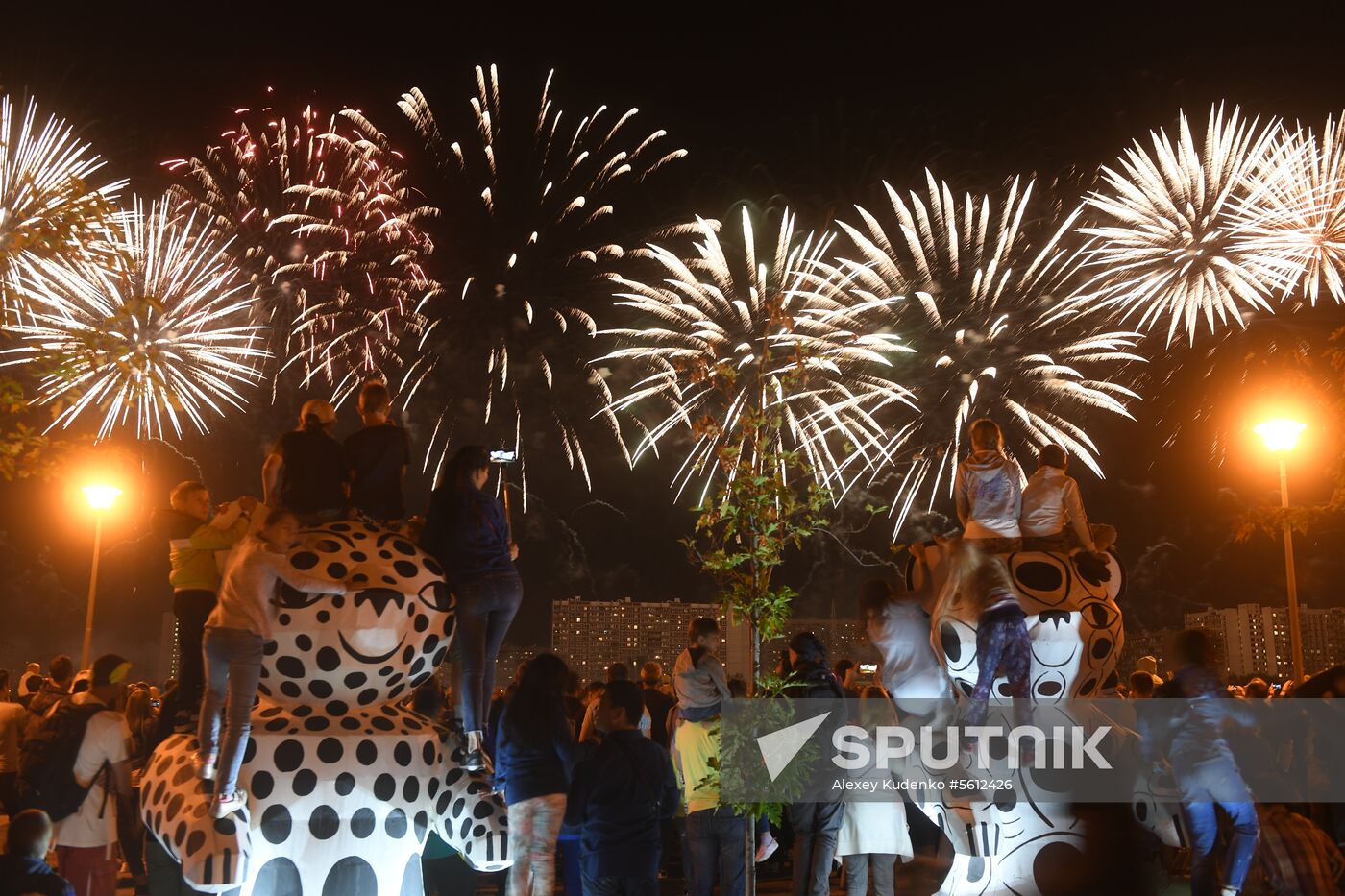 Rostec fireworks festival