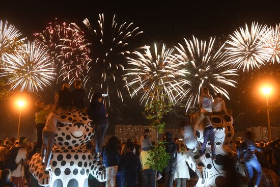 Rostec fireworks festival