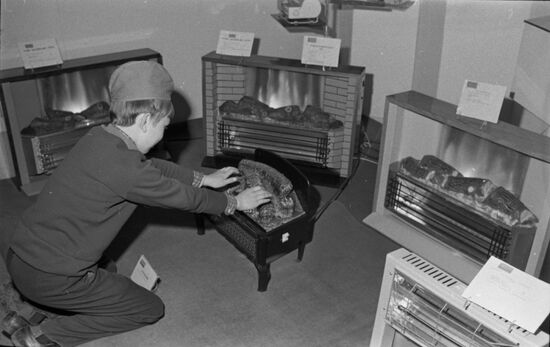 Models of electric fireplaces