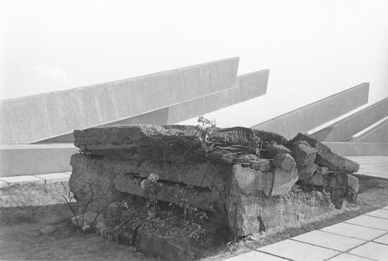 Memorial Tipanov's pillbox