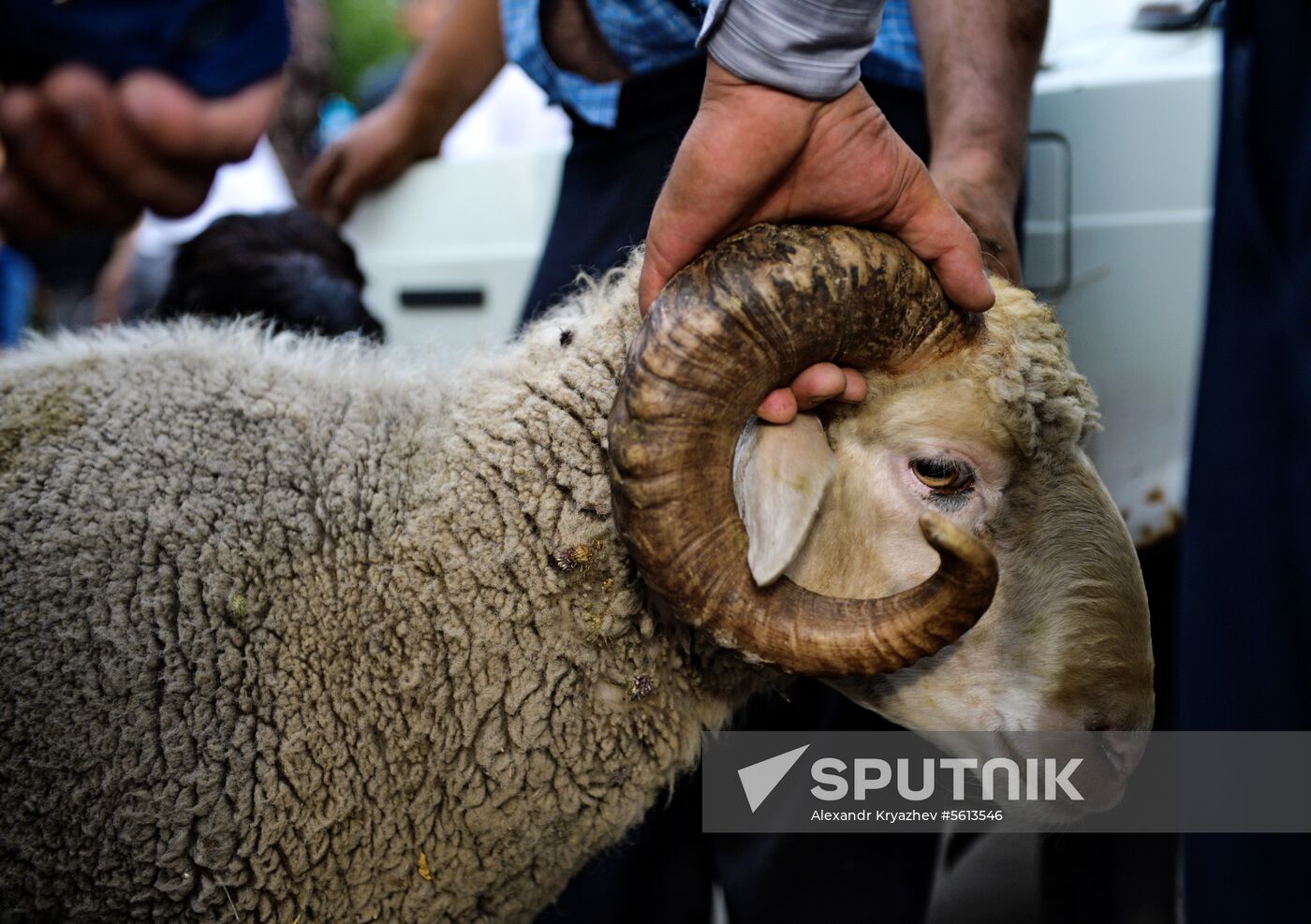 Eid al-Adha in Russia