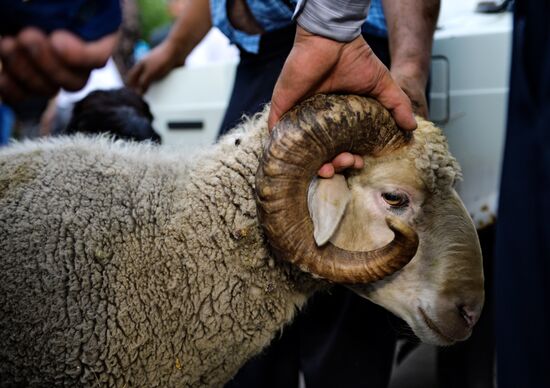Eid al-Adha in Russia