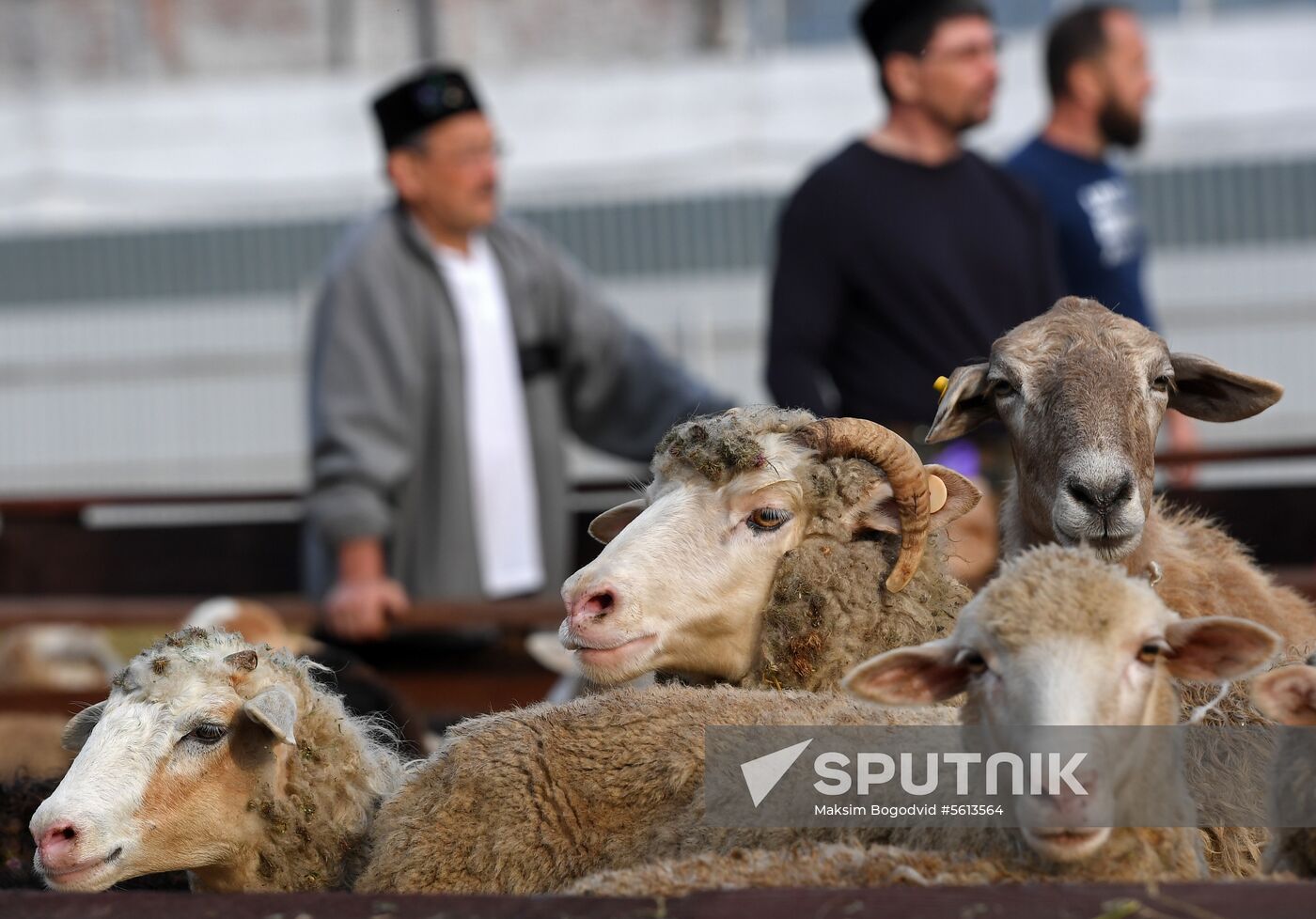 Eid al-Adha in Russia