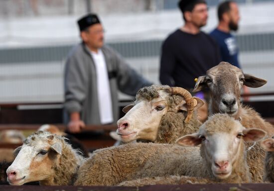 Eid al-Adha in Russia