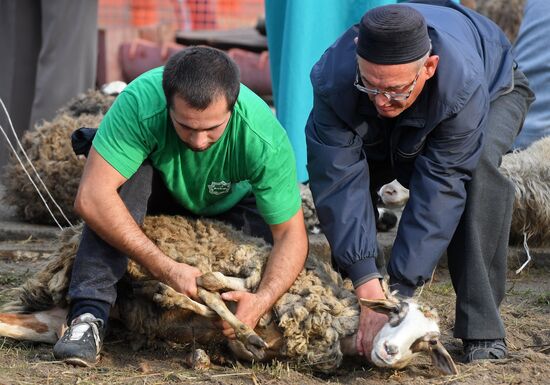 Eid al-Adha in Russia