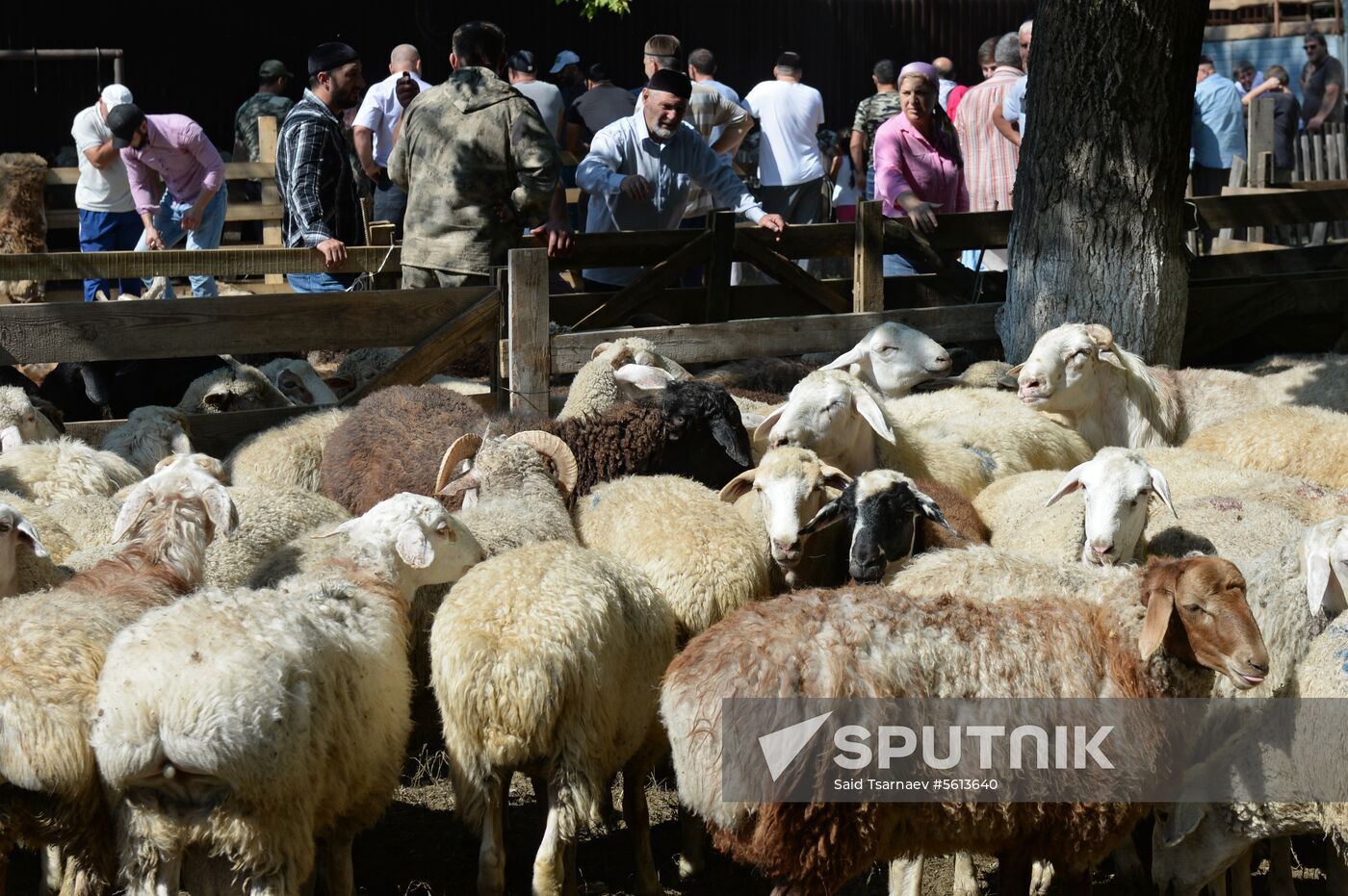 Eid al-Adha in Russia