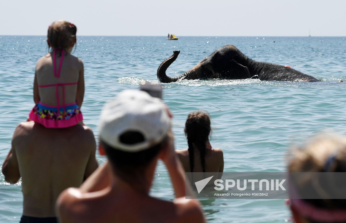 Walking and washing circus elephants in Yevpatoria