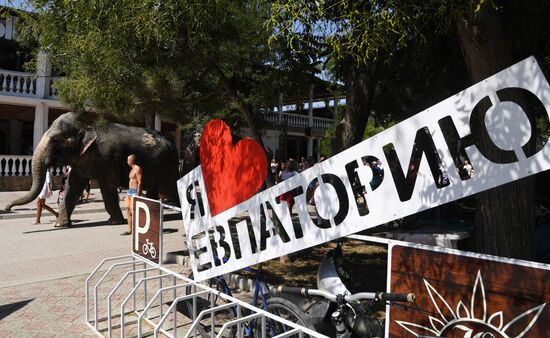 Walking and washing circus elephants in Yevpatoria