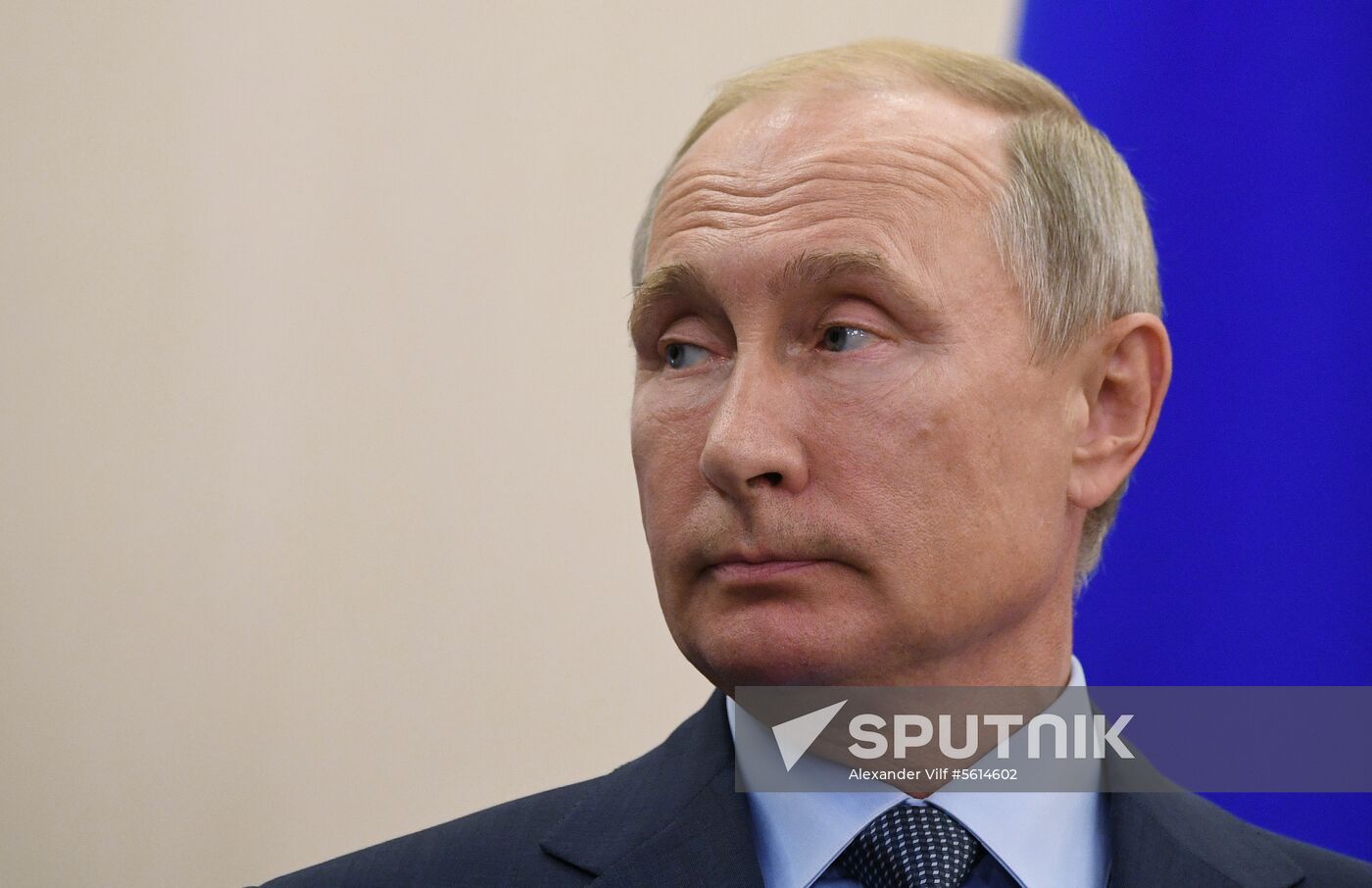 Russian President Vladimir Putin meets with Finnish President Sauli Niinisto