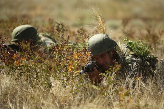 Exercises of South Military District in Volgograd Region