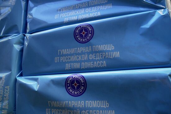 Russian Emergencies Ministry's 80th humanitarian aid convoy arrives in Donbass