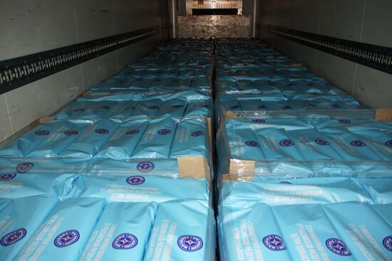 Russian Emergencies Ministry's 80th humanitarian aid convoy arrives in Donbass