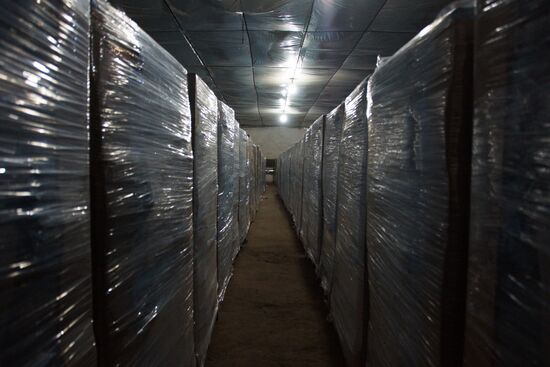 Russian Emergencies Ministry's 80th humanitarian aid convoy arrives in Donbass