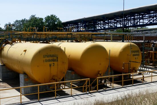 Preparing to launch Stirol chemical plant in DPR