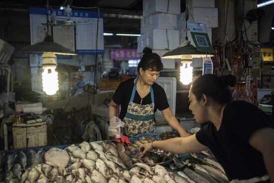 Chinese city of Dalian