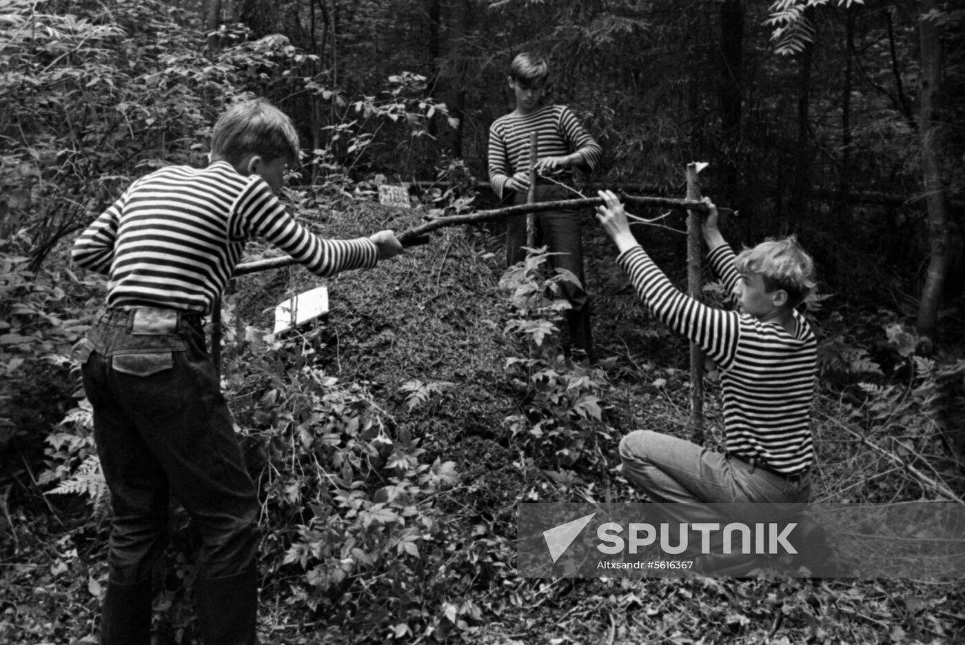 Schoolchildren on environmental field trip