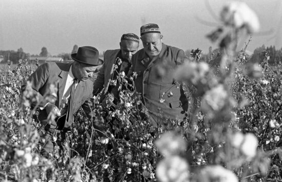 Plant breeder Mirakhmedov