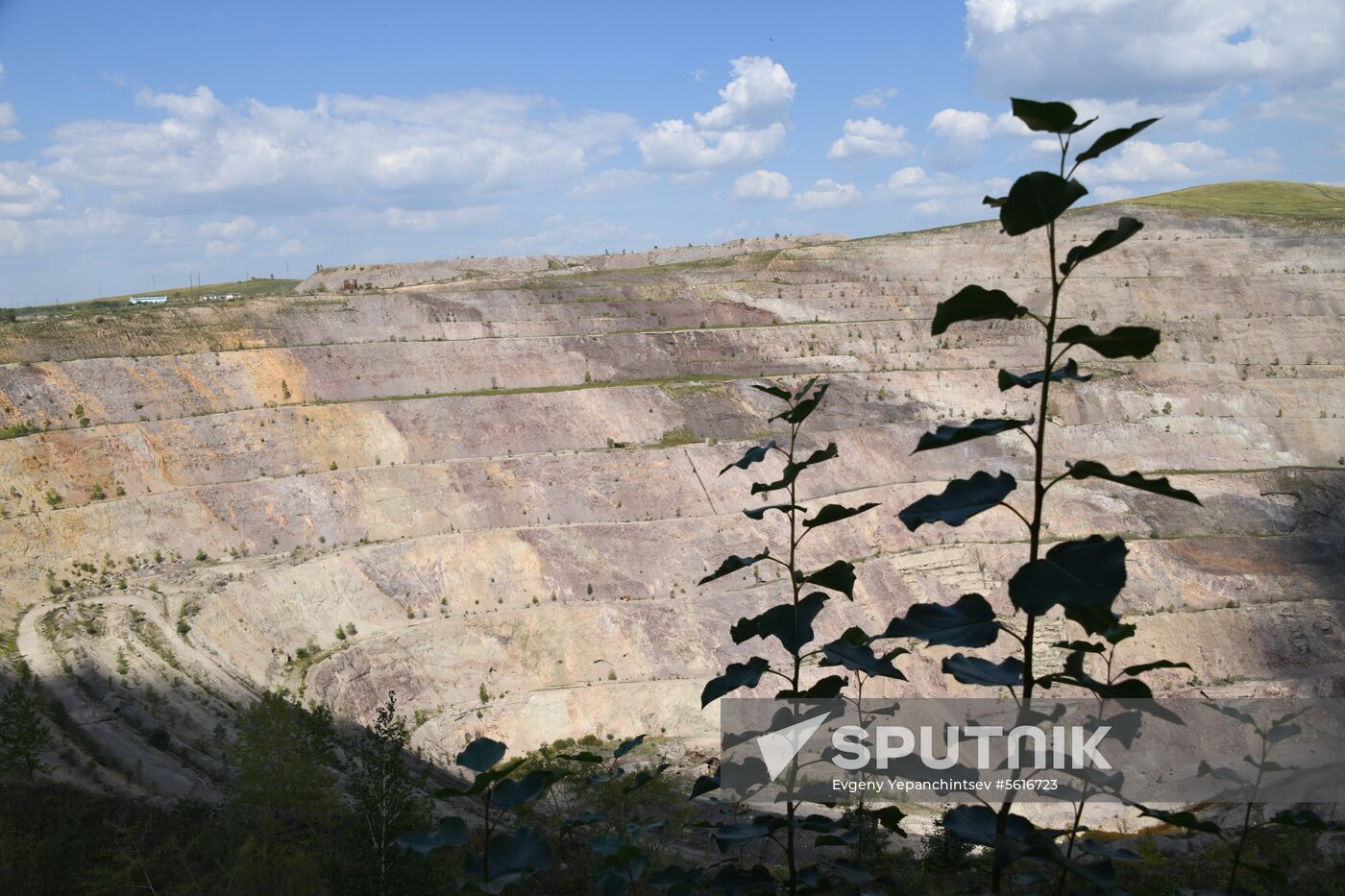 Priargunsky Industrial Mining and Chemical Union