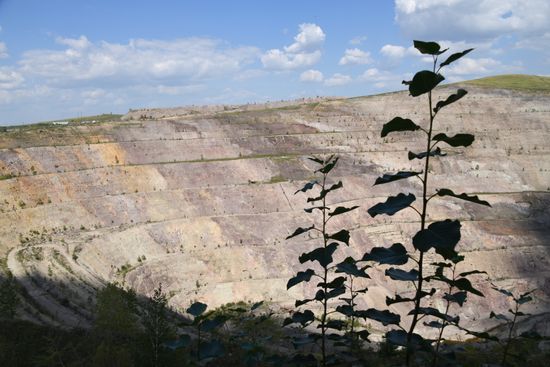 Priargunsky Industrial Mining and Chemical Union