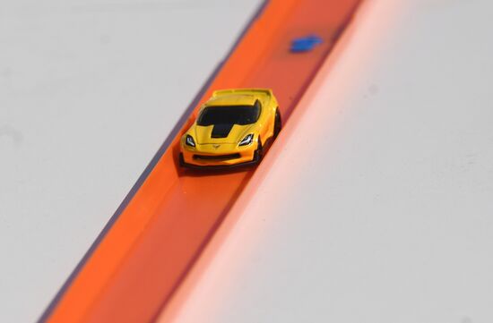Hot Wheels sets Guinness World Record in Zaryadye Park