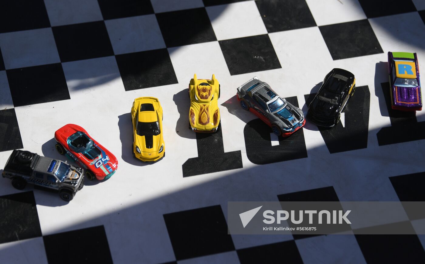 Hot Wheels sets Guinness World Record in Zaryadye Park