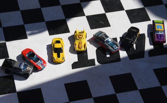 Hot Wheels sets Guinness World Record in Zaryadye Park