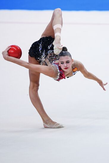 Rhythmic gymnastics. 2018 FIG World Challenge Cup Kazan. Day three