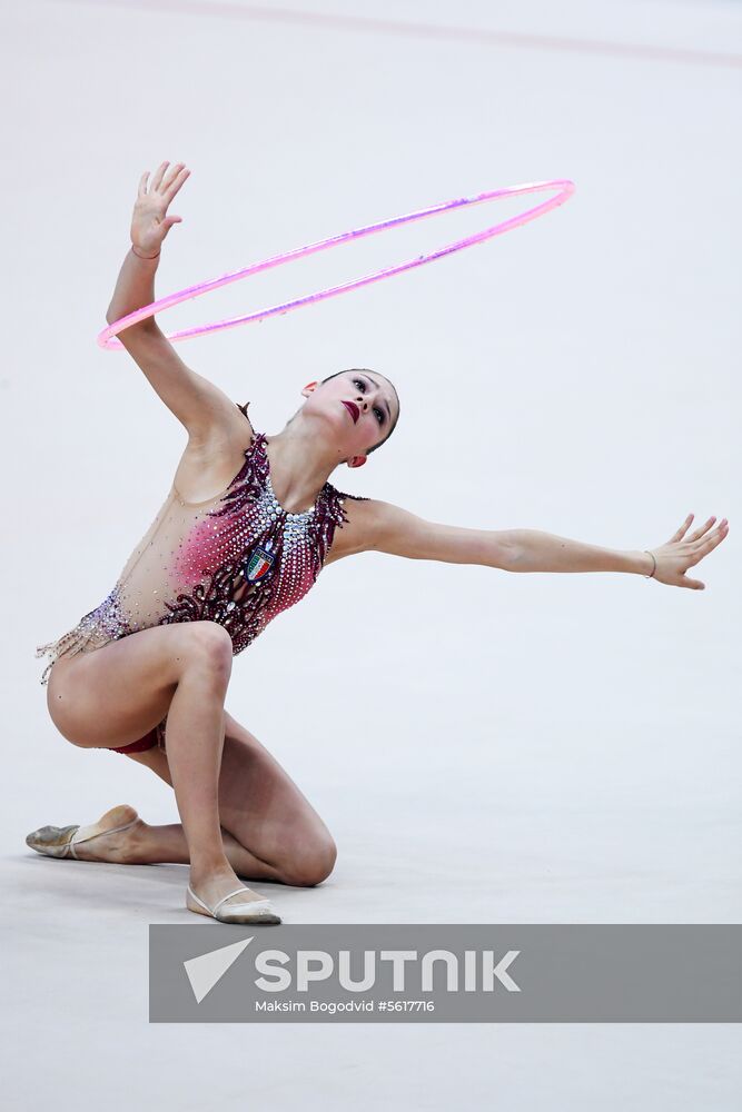 Rhythmic gymnastics. 2018 FIG World Challenge Cup Kazan. Day three