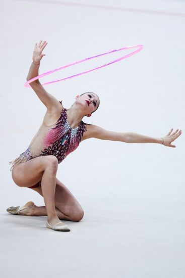Rhythmic gymnastics. 2018 FIG World Challenge Cup Kazan. Day three