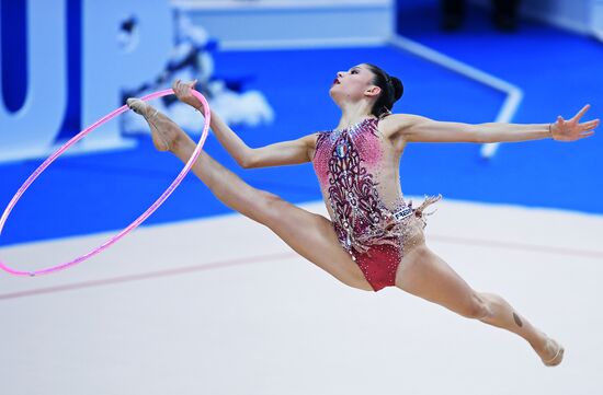 Rhythmic gymnastics. 2018 FIG World Challenge Cup Kazan. Day three