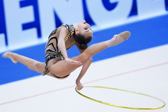 Rhythmic gymnastics. 2018 FIG World Challenge Cup Kazan. Day three
