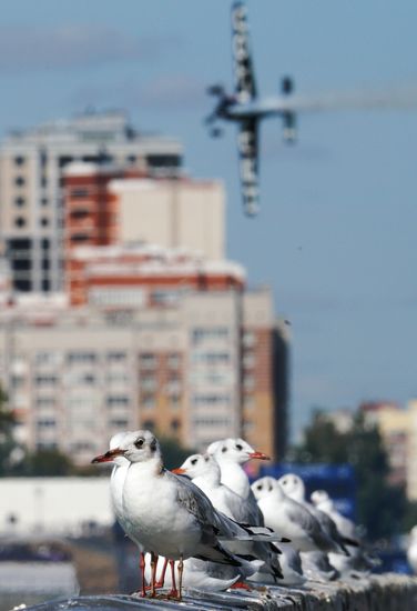 Red Bull Air Race Kazan. Day two
