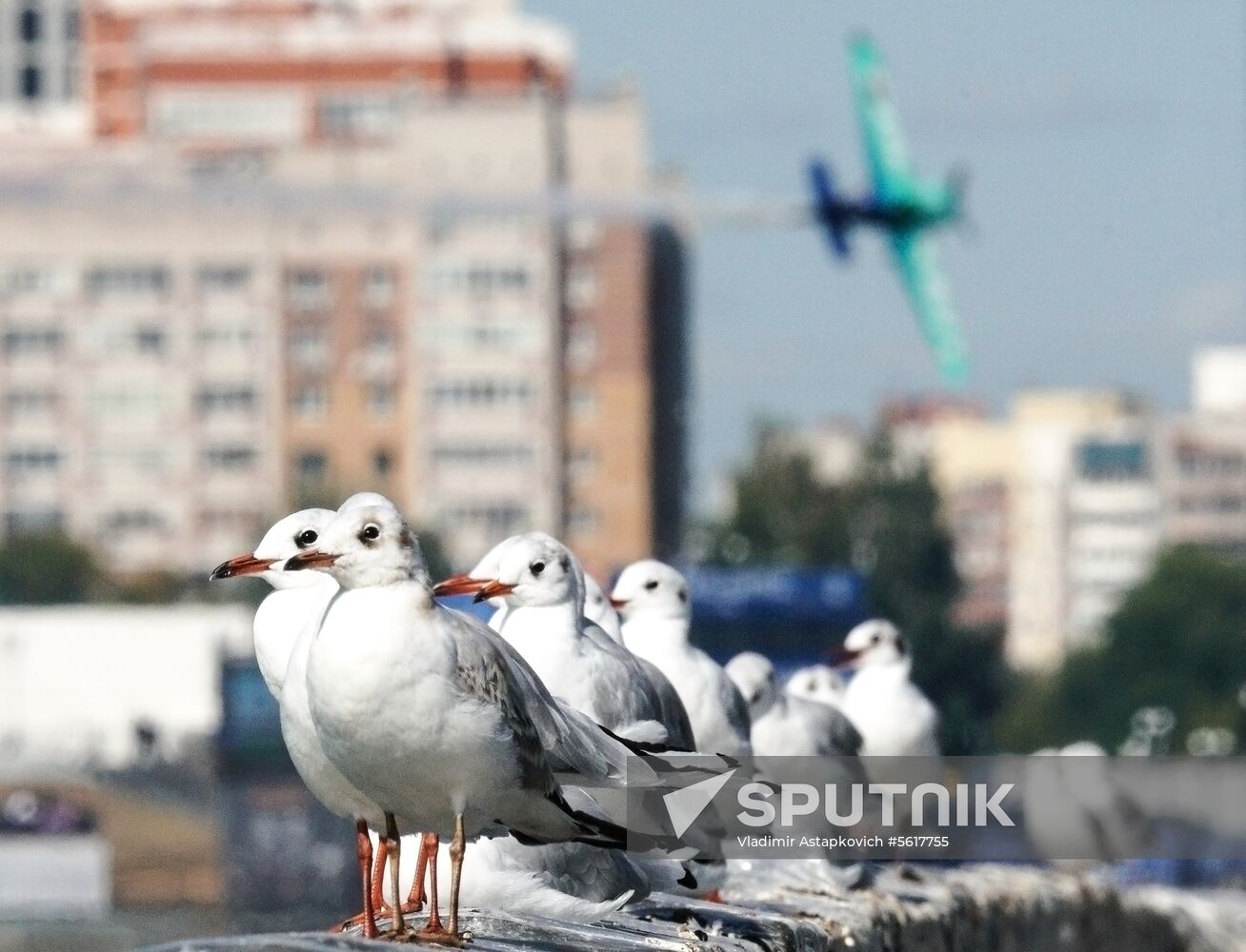 Red Bull Air Race Kazan. Day two