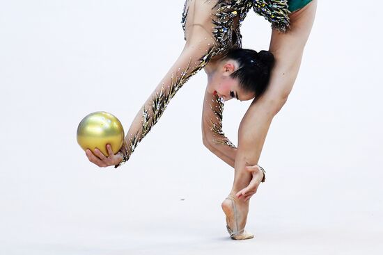 Rhythmic gymnastics. 2018 FIG World Challenge Cup Kazan. Day three