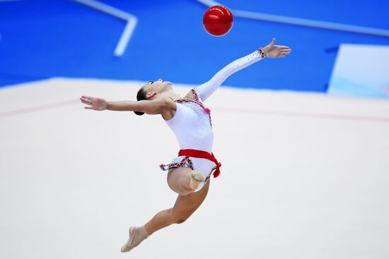 Rhythmic gymnastics. 2018 FIG World Challenge Cup Kazan. Day three